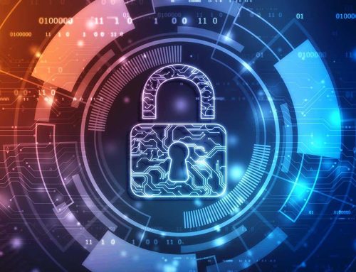 What is Xcitium?